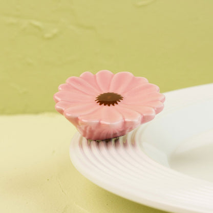 Pink flower mini on a white surface with a green background