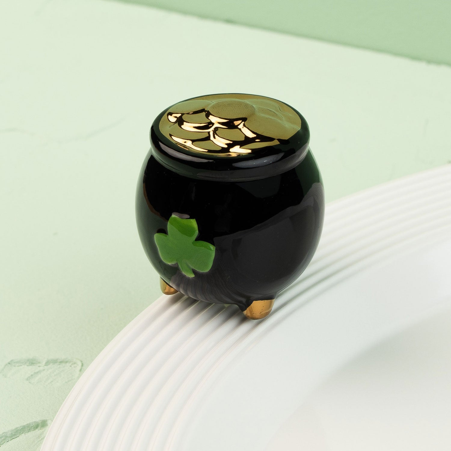Black pot with a green clover mini on a white surface against a light green background
